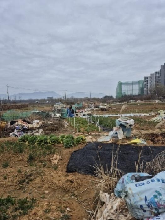 북구 신용동 477-5 답 경매 물건 사진
