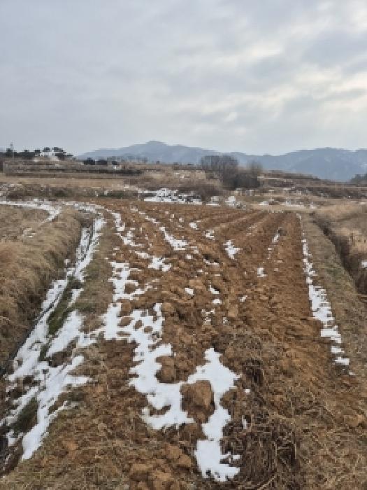 영광군 묘량면 운당리 전 경매 물건 사진