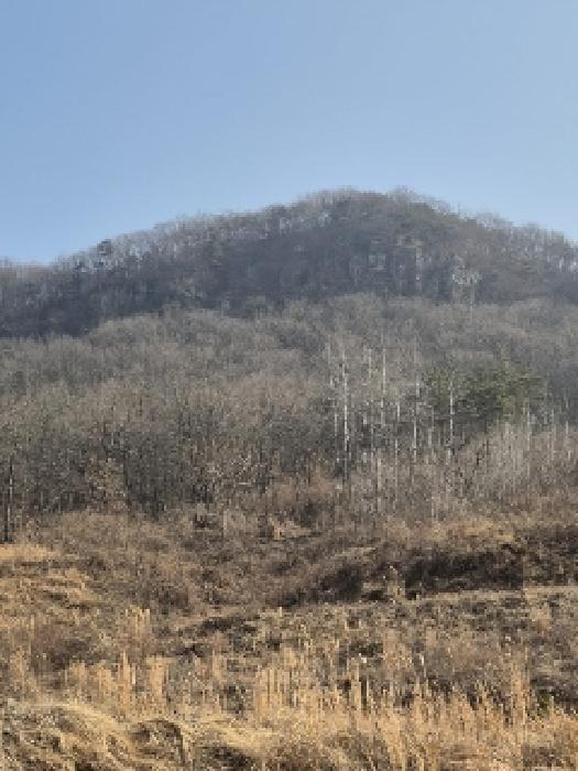 화순군 동면 복암리 과수원 경매 물건 사진
