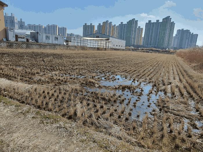 북구 신용동 478-6 답 경매 물건 사진