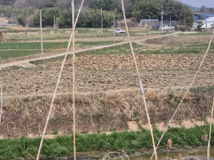 나주시 반남면 청송리 답 경매 물건 사진