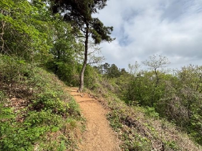 북구 문흥동 산72 임야 경매 물건 사진