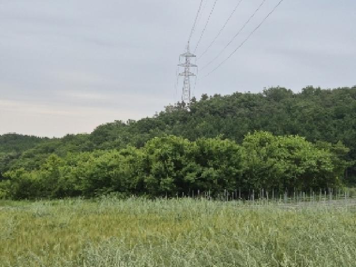 장성군 삼계면 화산리 전 경매 물건 사진