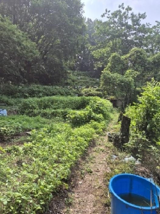 동구 지산동 18 전 경매 물건 사진