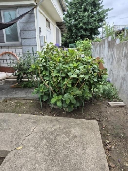 북구 일곡동 753-69 연립주택,다세대,빌라 경매 물건 사진