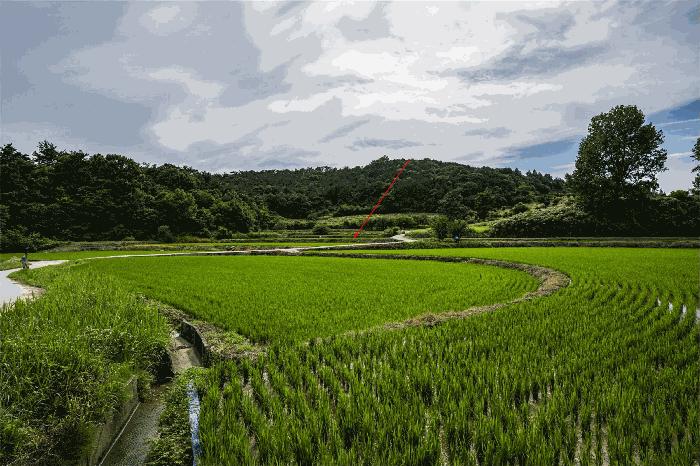 북구 운정동 634 답 경매 물건 사진