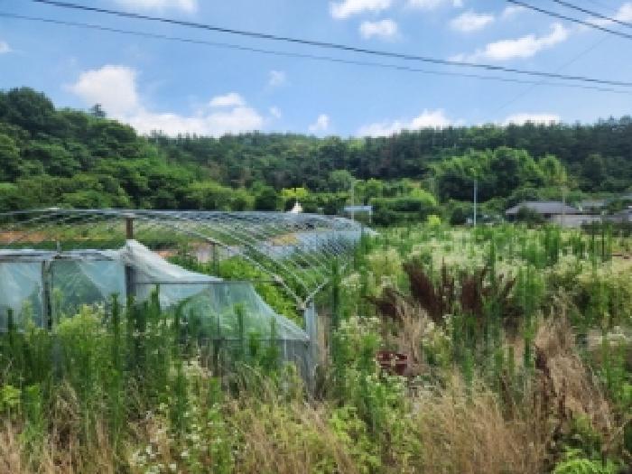 나주시 동강면 곡천리 전 경매 물건 사진