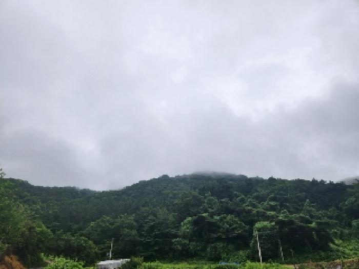 남구 덕남동 산72 임야 경매 물건 사진