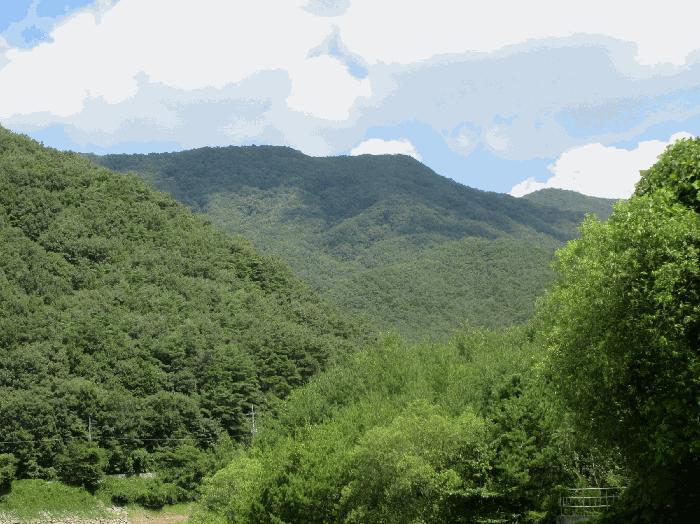 곡성군 목사동면 용봉리 전 경매 물건 사진