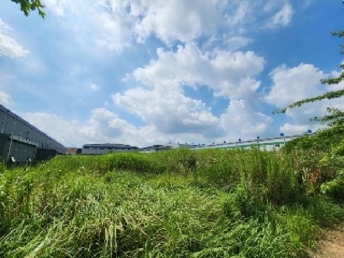 나주시 왕곡면 덕산리 공장용지 경매 물건 사진