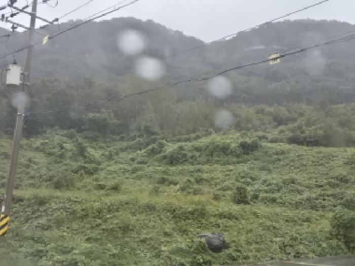 화순군 동면 복암리 전 경매 물건 사진