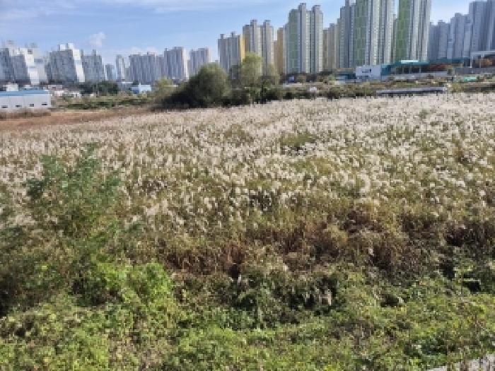 북구 신용동 478-1 답 경매 물건 사진