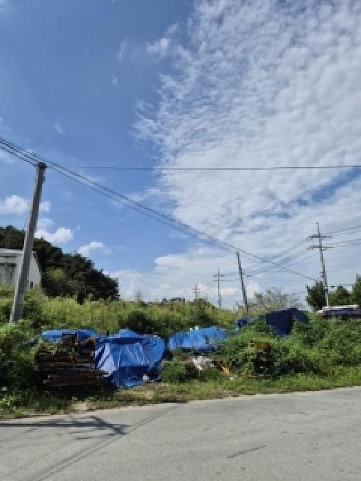 곡성군 입면 창정리 잡종지 경매 물건 사진