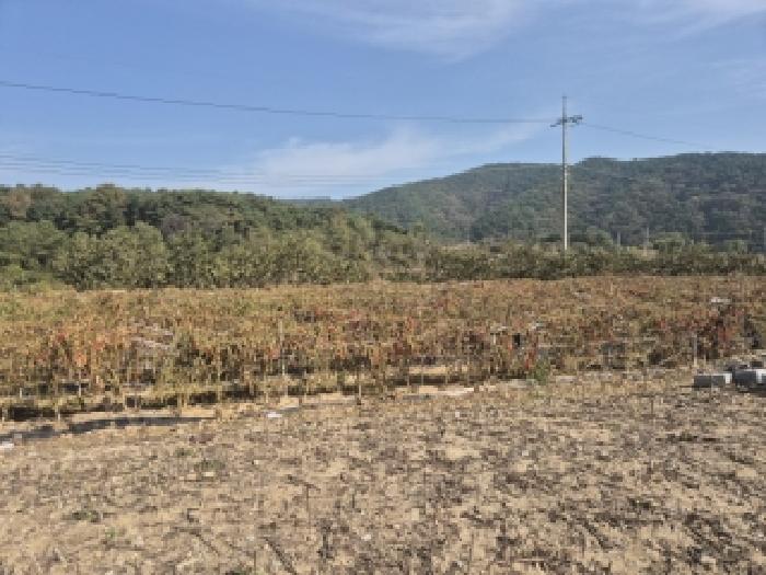 장성군 삼서면 홍정리 공장/지식산업센터 경매 물건 사진