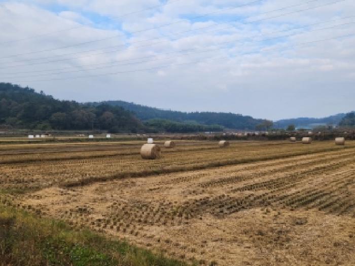 나주시 동강면 인동리 답 경매 물건 사진