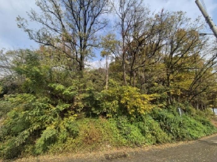 광산구 신창동 산101-2 임야 경매 물건 사진