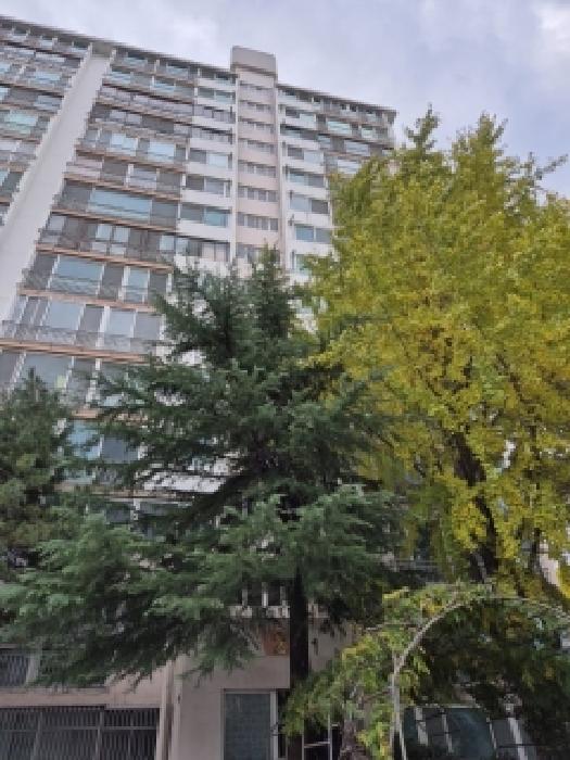 서구 양동 60-2 아파트 경매 물건 사진