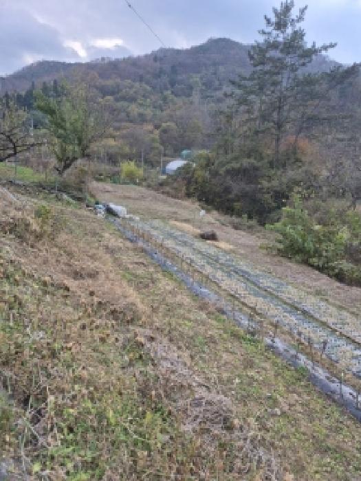 화순군 동면 오동리 전답 경매 물건 사진