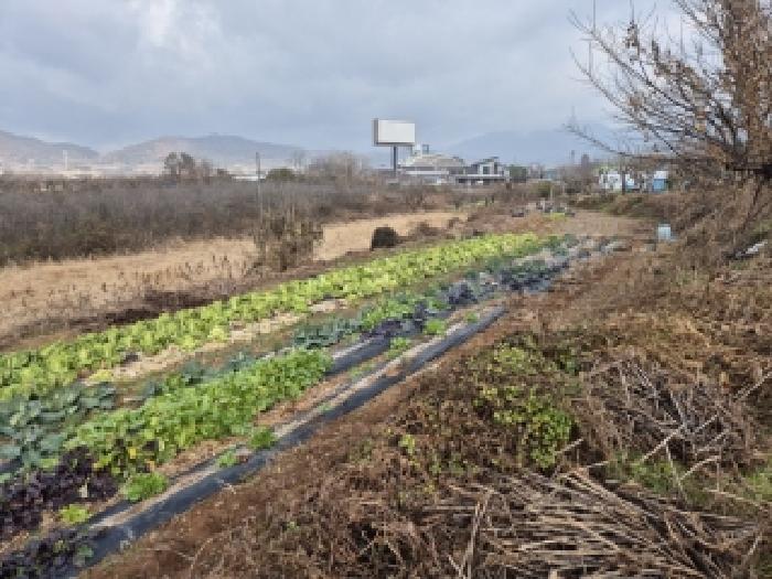 장성군 남면 분향리 전 경매 물건 사진
