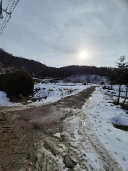 영광군 불갑면 우곡리 임야 경매 물건 사진