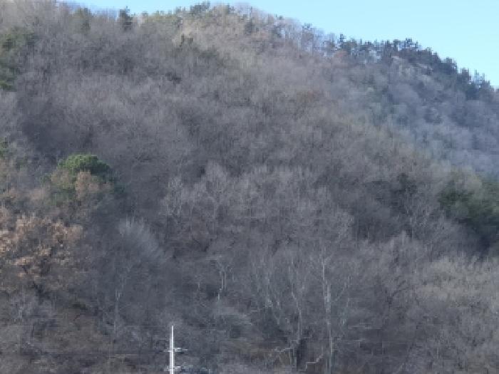 화순군 도곡면 원화리 임야 경매 물건 사진