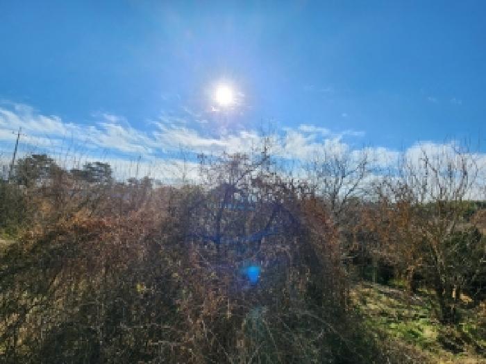 나주시 산포면 신도리 임야 경매 물건 사진