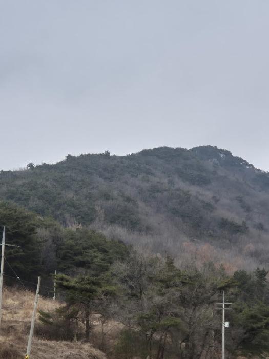 장성군 삼계면 죽림리 임야 경매 물건 사진