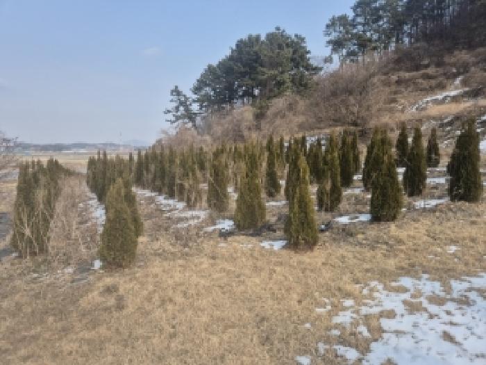 영광군 법성면 법성리 전 경매 물건 사진