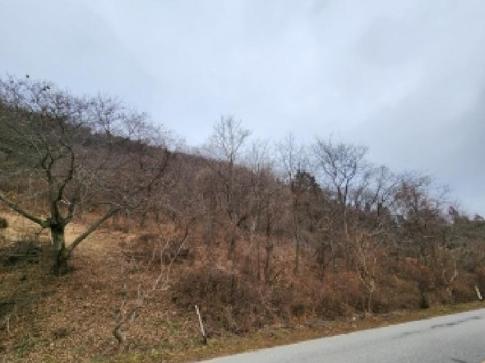 담양군 가사문학면 가암리 답 경매 물건 사진