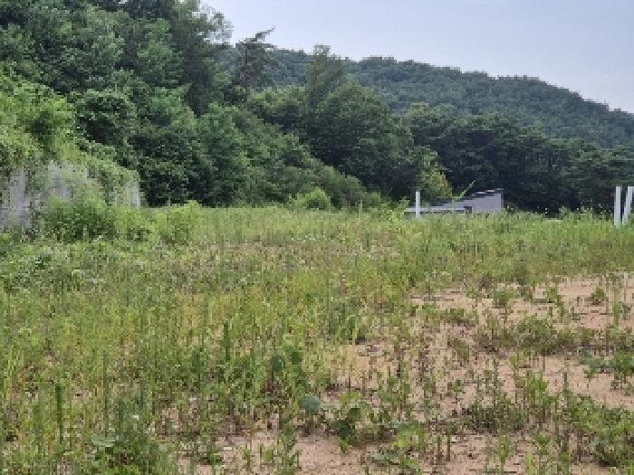 장성군 황룡면 아곡리 전 경매 물건 사진