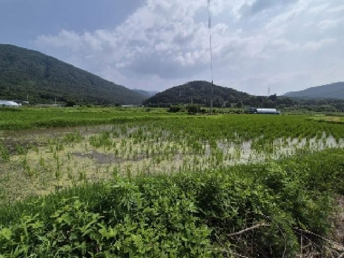 북구 충효동 227 답 경매 물건 사진