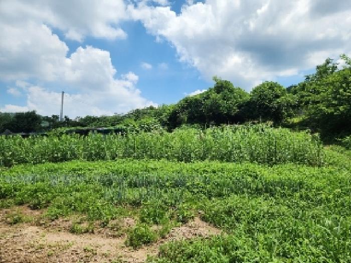 남구 도금동 89 전 경매 물건 사진