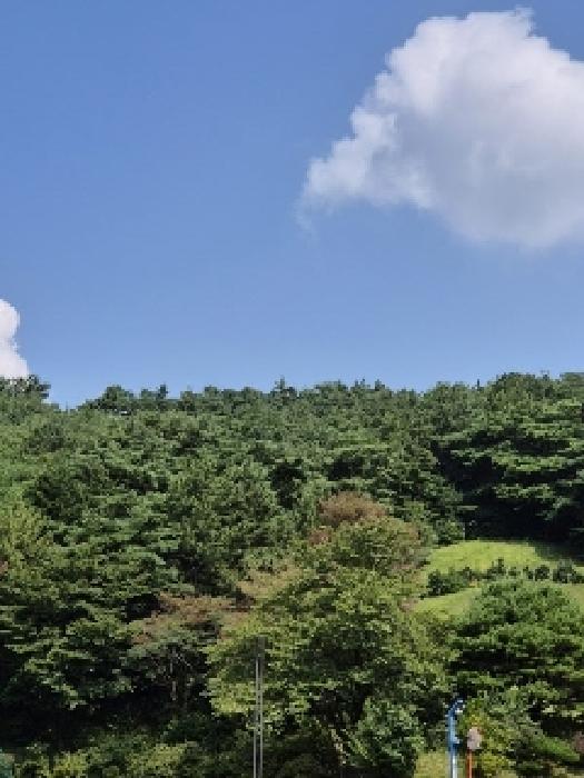 광산구 서봉동 산189-7 임야 경매 물건 사진