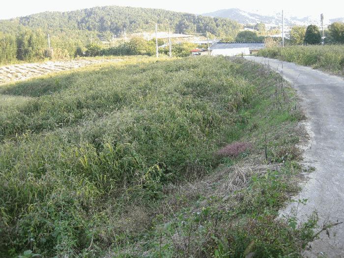 영광군 염산면 상계리 전 경매 물건 사진