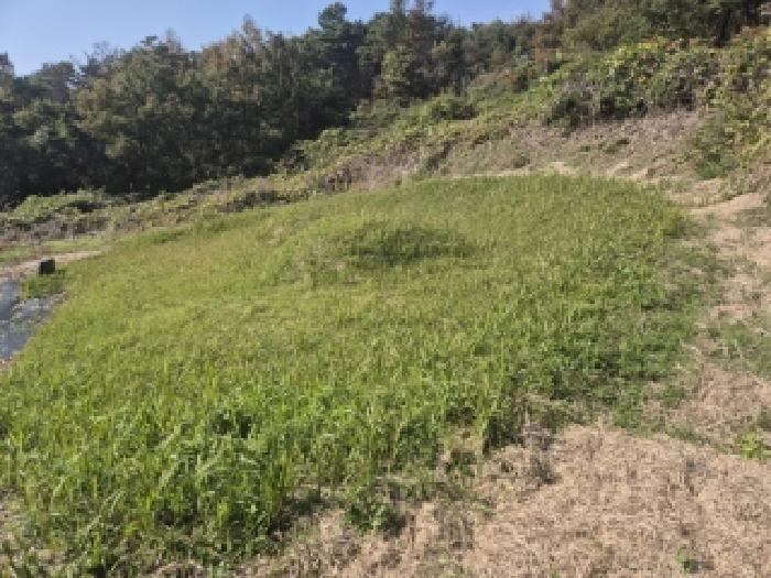 장성군 삼서면 두월리 잡종지 경매 물건 사진