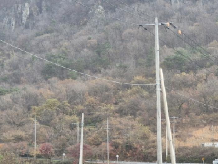 화순군 동면 복암리 과수원 경매 물건 사진