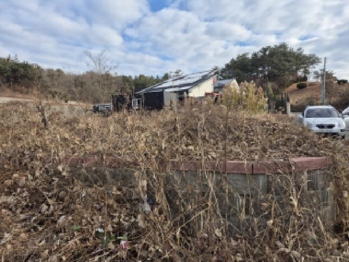 화순군 도곡면 천암리 목장용지 경매 물건 사진