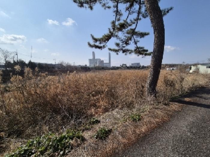 나주시 산포면 신도리 잡종지 경매 물건 사진