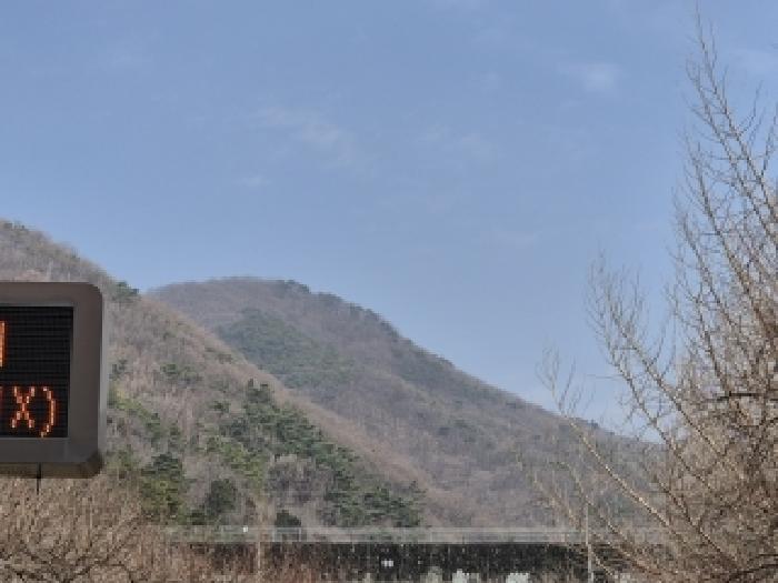 동구 용연동 산298 임야 경매 물건 사진