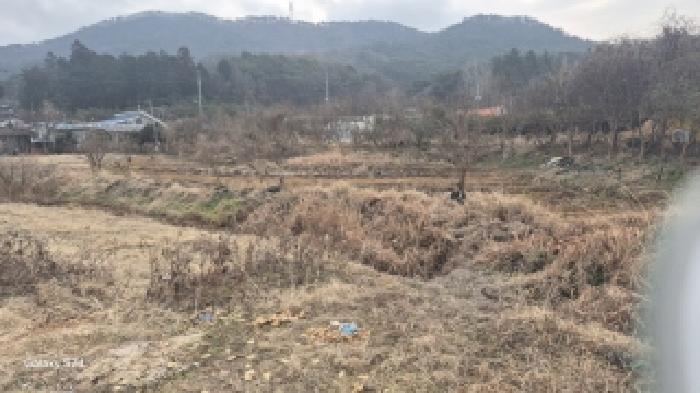 남구 양과동 654-1 전답 경매 물건 사진