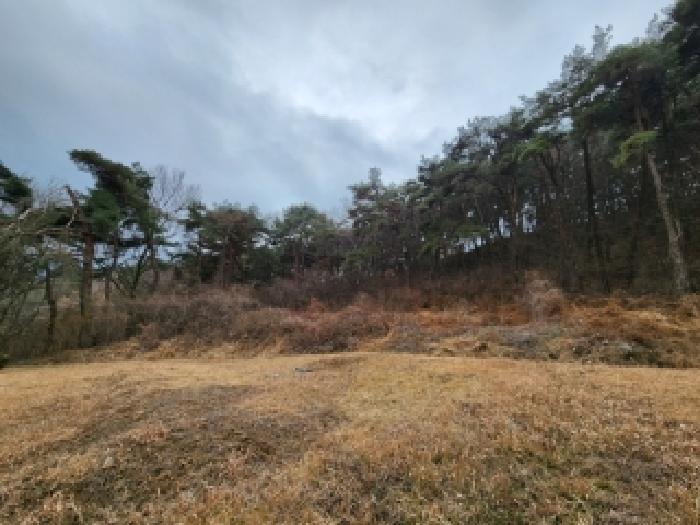 북구 금곡동 452 전 경매 물건 사진