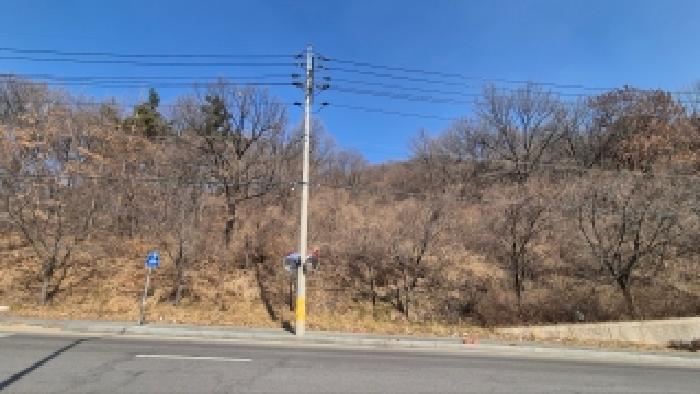 남구 임암동 산7 임야 경매 물건 사진