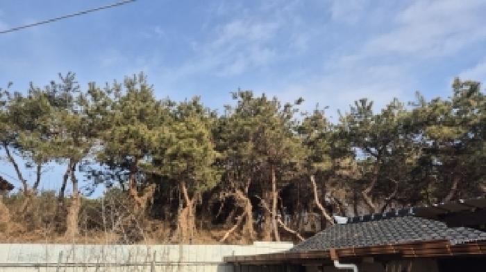 나주시 부덕동 456 과수원 경매 물건 사진