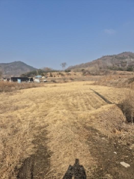 광산구 송치동 498-1 답 경매 물건 사진