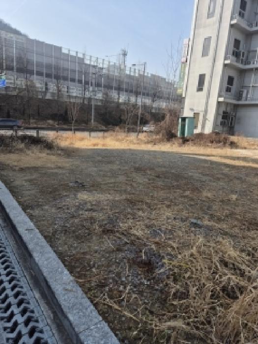 동구 용산동 675 대지 경매 물건 사진