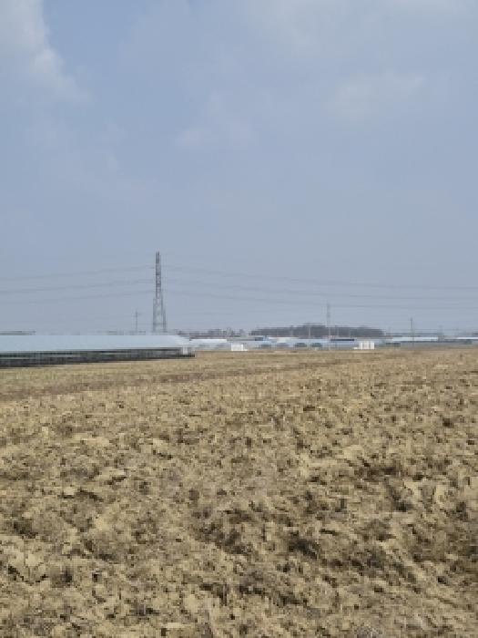 장성군 진원면 용산리 전답 경매 물건 사진