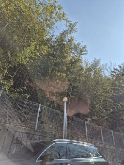 북구 월출동 산68-4 임야 경매 물건 사진
