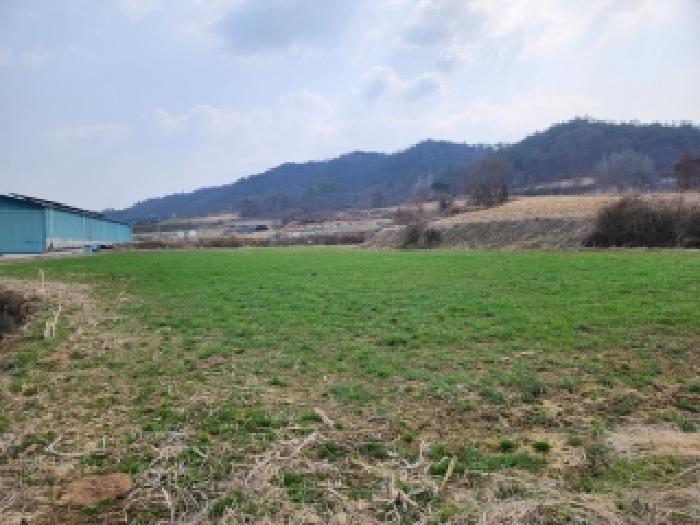 곡성군 옥과면 주산리 전답 경매 물건 사진