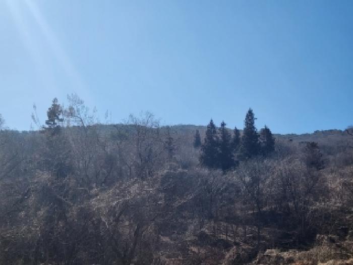 담양군 월산면 중월리 전 경매 물건 사진