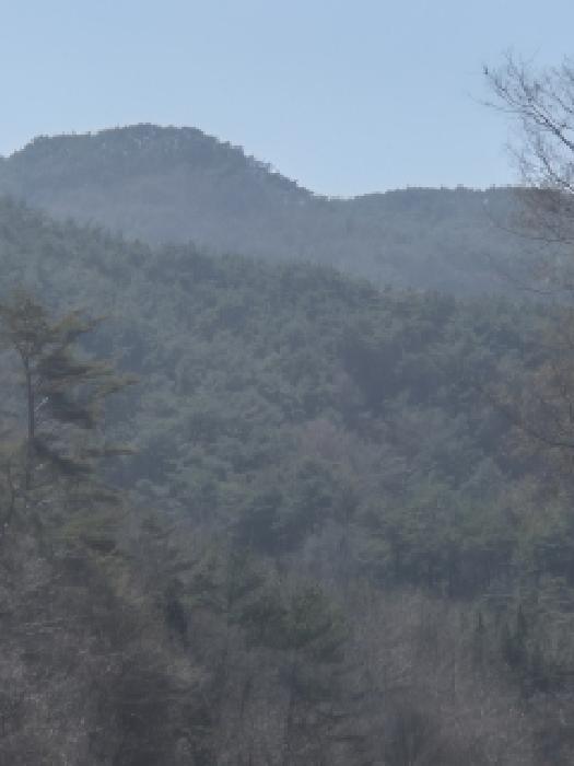 화순군 백아면 송단리 임야 경매 물건 사진